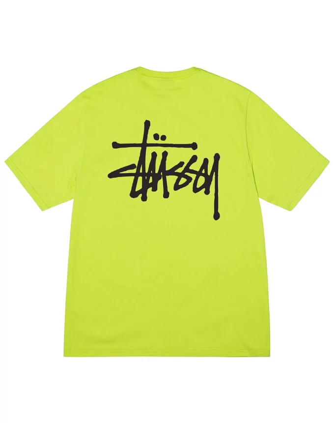 1904870 T-shirt Stussy vert